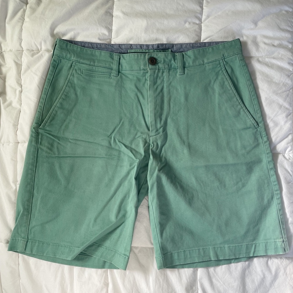 Mens L.L. Bean green Pastel shorts